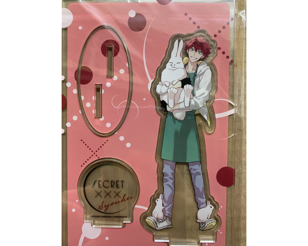 Secret xxx - Stand Acrylique Ikushima Shouhei - Shinshokan - Sugoi Shop