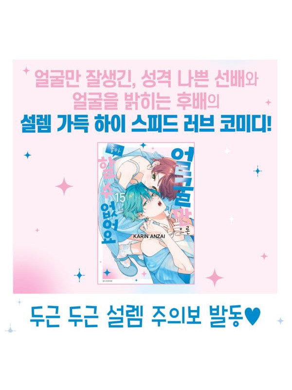 Not Just a Pretty Face - Tome 15 Poster A3 + Cartes - Korean Édition Limitée