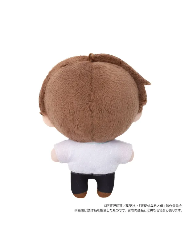 Peluche Taira Shuji - You and I Are Polar Opposites - Movic - Sugoi Shop