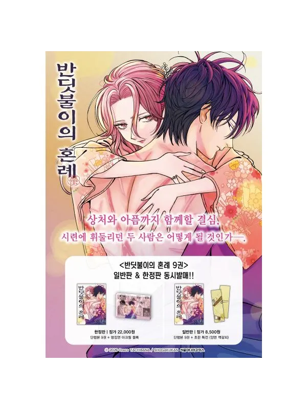 Firefly Wedding - Manga Vol.9 - Limited Korean Edition Bonus - Sugoi Shop