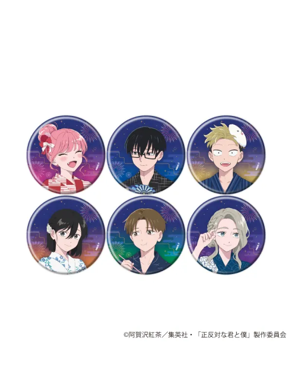 Can Badge You and I Are Polar Opposites Summer Festival