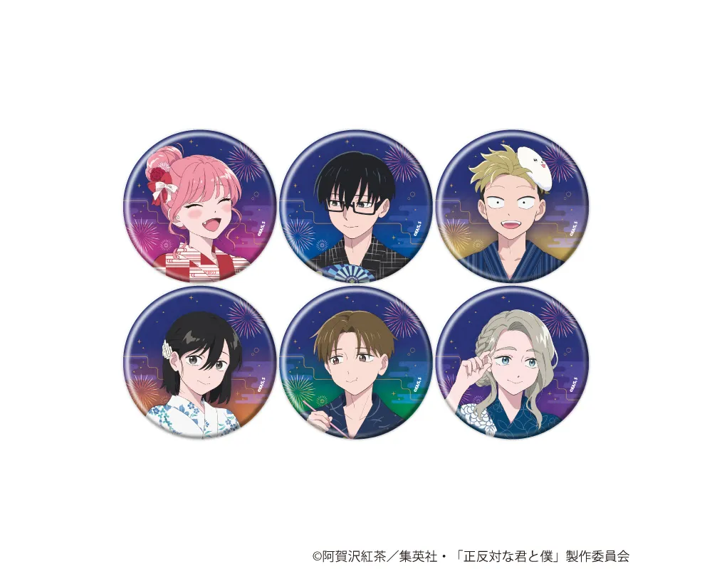 Can Badge You and I Are Polar Opposites Summer Festival
